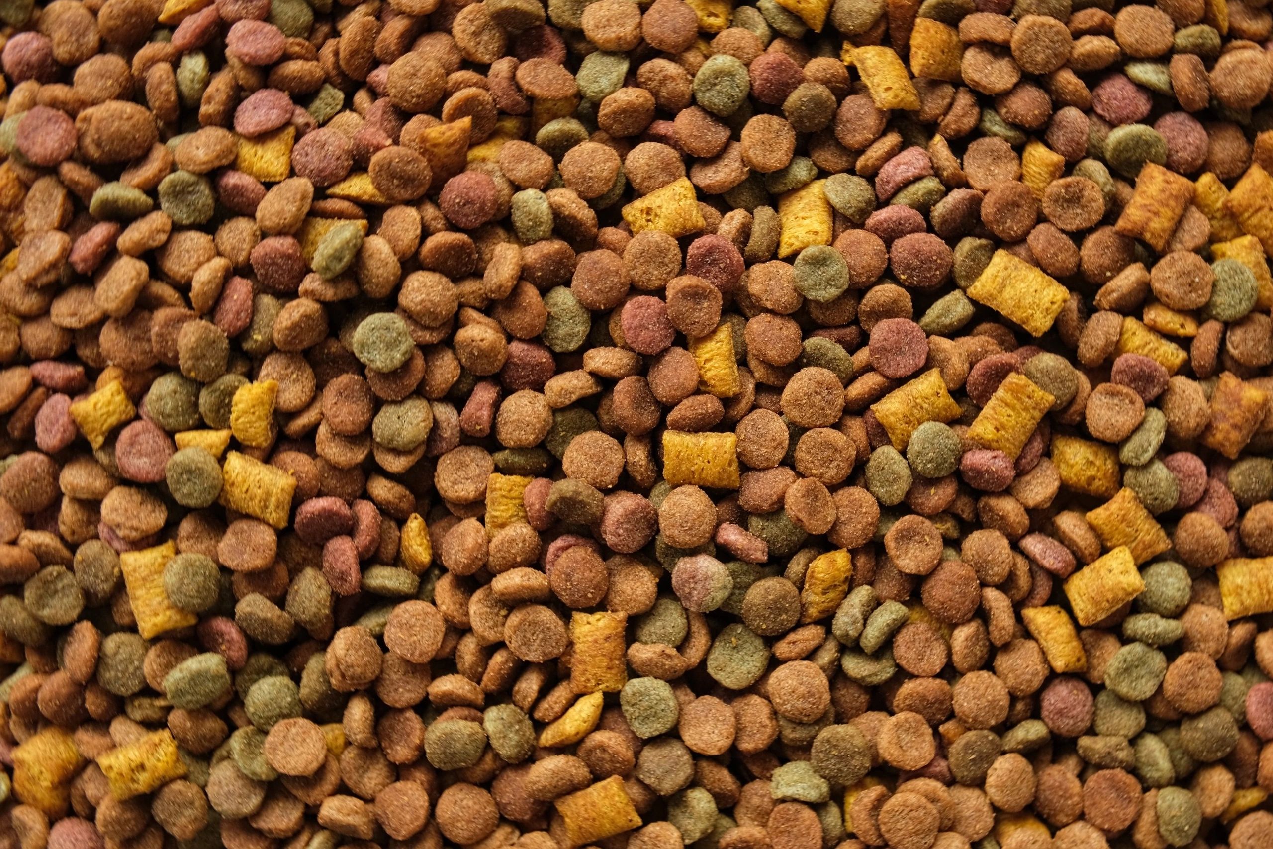 Pet product close-up representing the store's category range